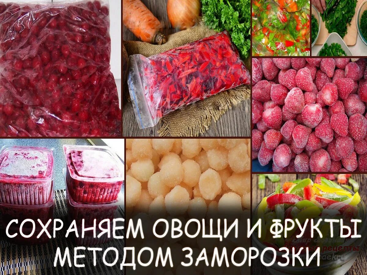 Замораживание данных