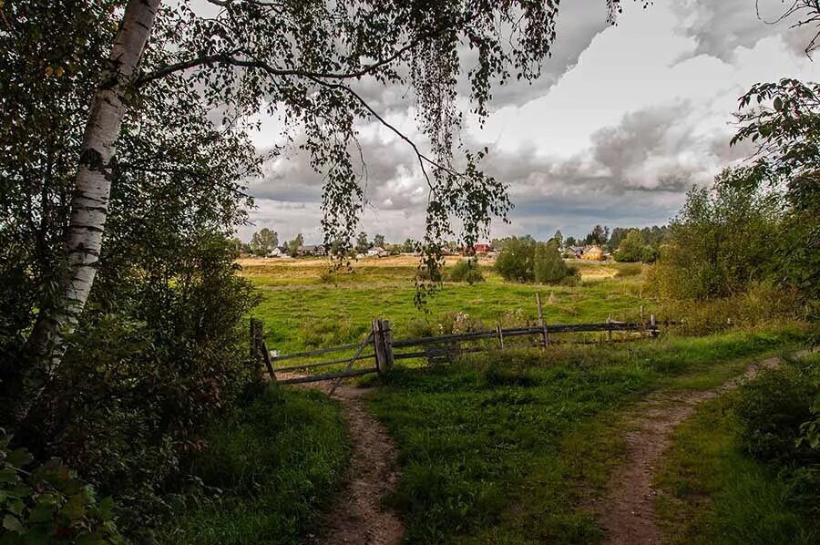 Фотография малой родины. Околица деревни. Моя малая деревня моя малая Родина деревня. Деревня Околица Тверская область. Поле Околица села.