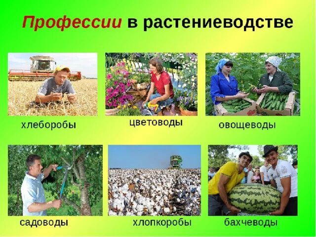 Проект на тему сельскохозяйственные профессии ЯСХТ приглашает получить рабочие профессии Якутский Сельскохозяйственный техни