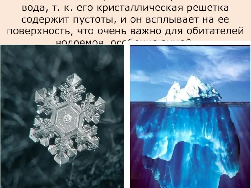 Какую плотность имеет лед. Плотность льда. лед легче воды. кристаллы льда в воде. кристаллическая форма воды.