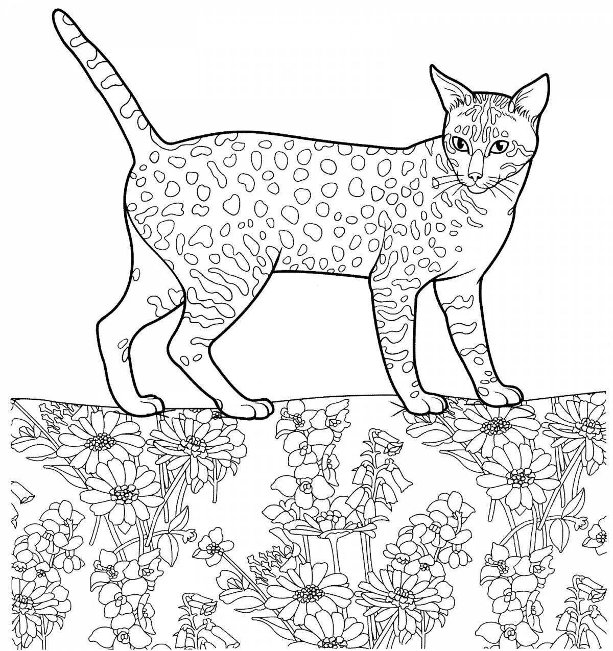 Красивая раскраска котиков. Египетская мау рисунок. кошки. раскраска. картинки для раскрашивания кошки. кошки раскраски с пятнами.