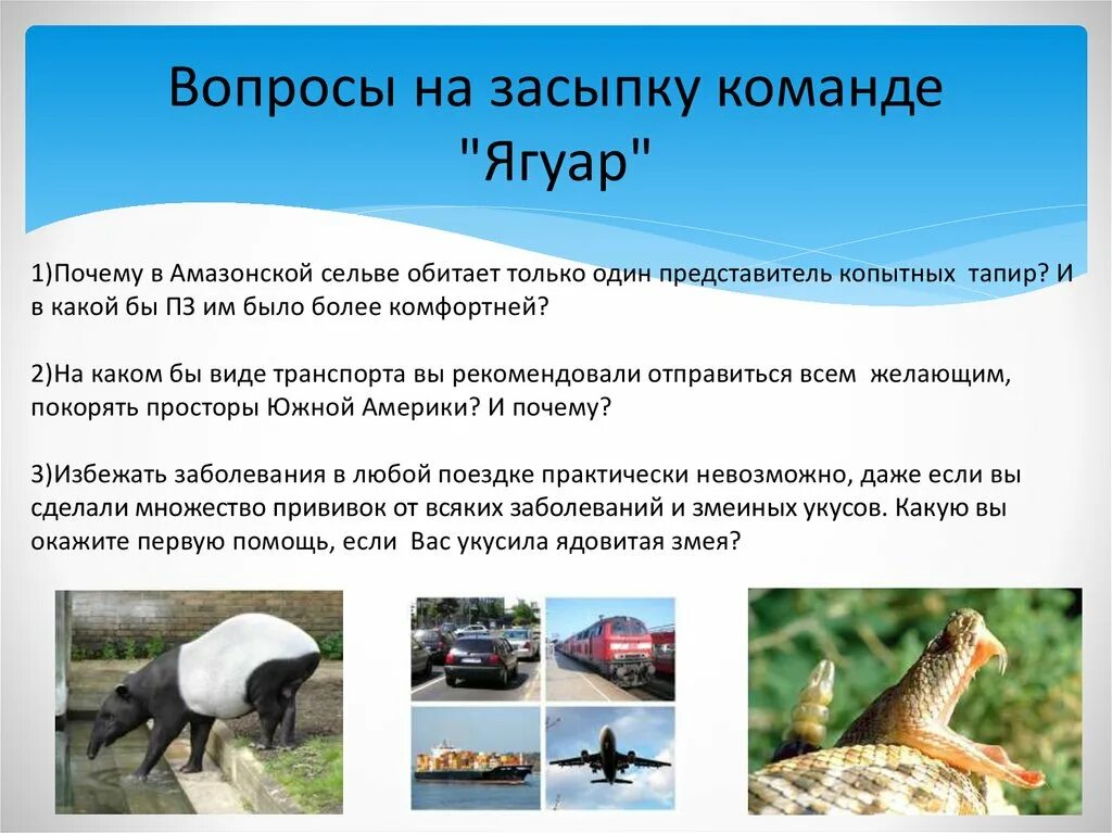 Нутрия в какой природной зоне южной америки. Природные зоны южной америки 7 класс география. природные зоны южной америки 7 класс. природные зоны южной америки 7 класс презентация. природные зоны южной америки растения и животные 7 класс.