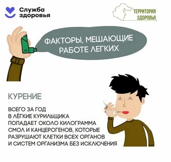 Здоровье легких статьи