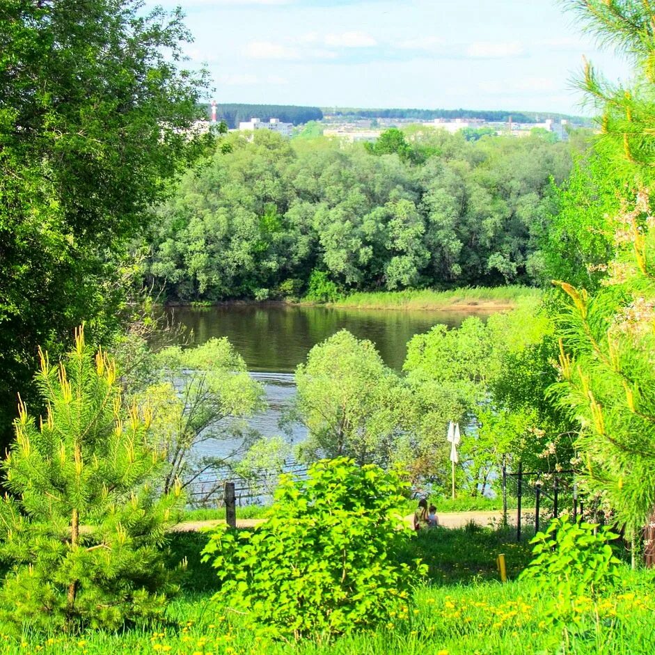 Городище гонючево орловская область. Село редькино орловская область. Село редькино город бор. Село редькино орловская область. Село редькино орловская область.