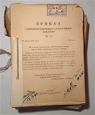Приказ министра 2024