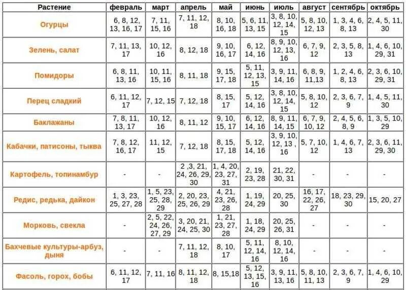 посадка цветов. рассада для клумб. когда сажать цветы. тюльпаны крокусы гиацинты. цветы в огороде.