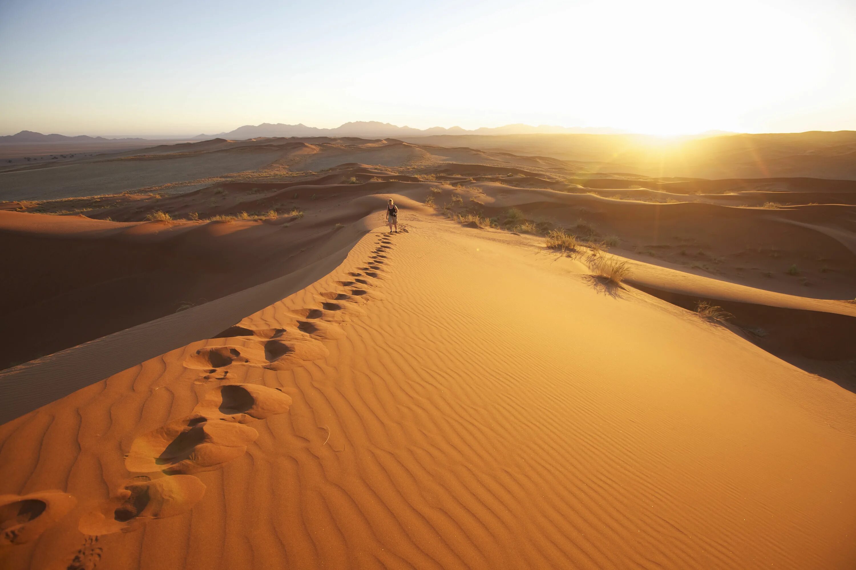 Пустыня намиб и атлантический океан намибия. Пустыня намиб встречается с атлантическим океаном. В пустыне встречается. Берег пустыни намиб. Как называется маленькая лисичка встречающаяся в пустыне.
