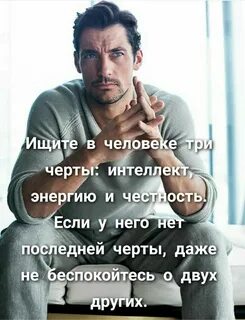Интеллект энергия честность