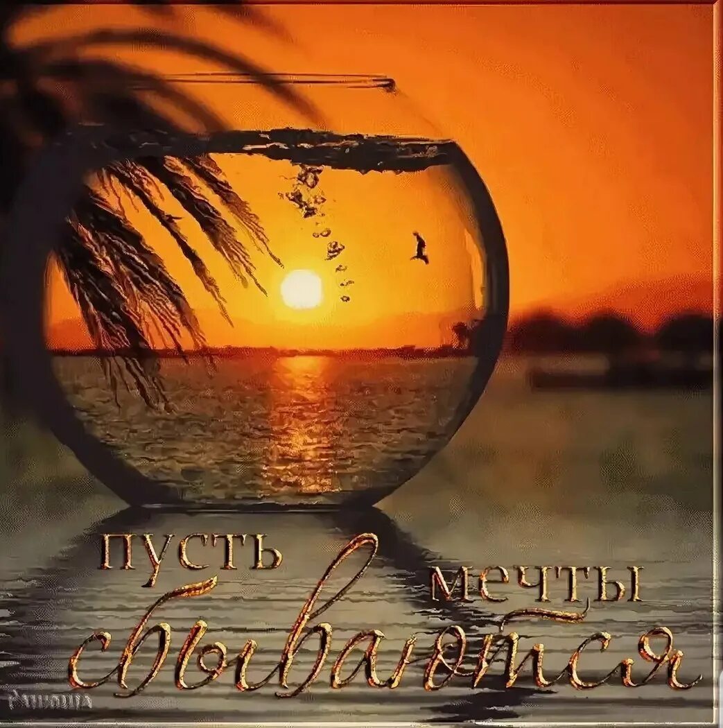 пусть в море каждый. желаю море счастья и океан любви. с днём рождения золотая рыбка. отличного дня море. самые красивые пожелания.