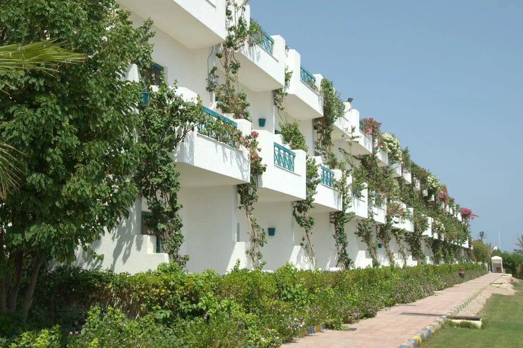 Отель в египте шарм клиф резорт. Шарм клифф. Шарм клифф. Шарм клифф. Отель sharm cliff resort 4*.