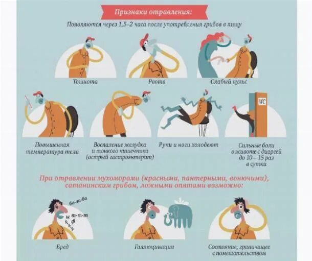 Отравление грибами. Памятка при отравлении грибами. Отравление ядовитыми грибами. Профилактика отравления грибами. Симптомы отравления ядовитыми грибами.