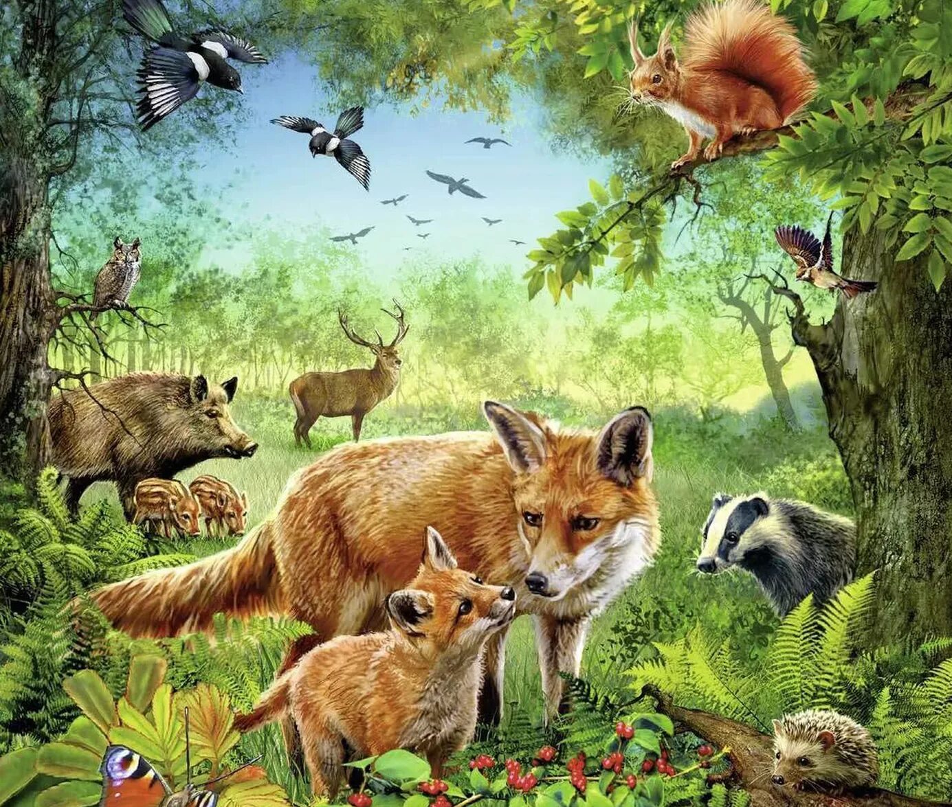 Лес с животными для детей. Лесные животные. Лес с животными. Жители леса. 5 лесных животных.