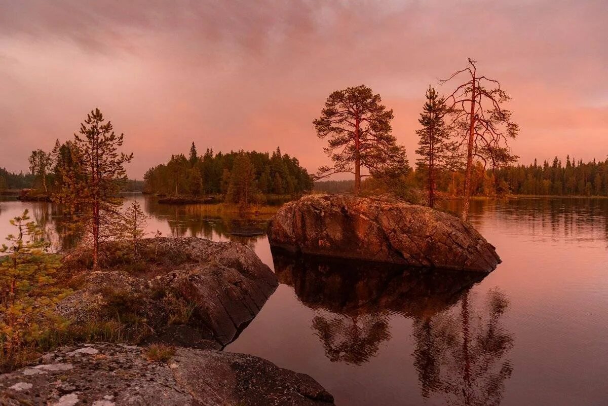 Карелия край озер и лесов. Ладожские шхеры Карелия парк. Ладожские шхеры лес. Шхеры Вуоксы. Озеро Куйто Карелия.