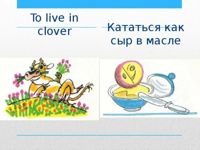 Катается как сыр в масле значение фразеологизма. Катайся, как сыр в масле. как сыр в масле кататься фразеологизм.