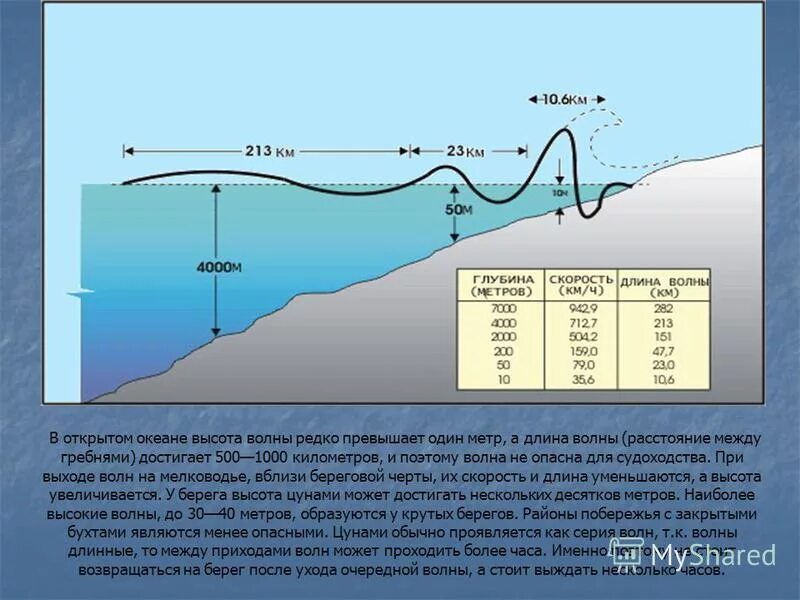 цунами. максимальная высота цунами. интенсивность цунами в баллах. шкала оценки цунами. максимальная высота цунами.