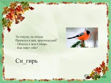 Ты откуда пострел