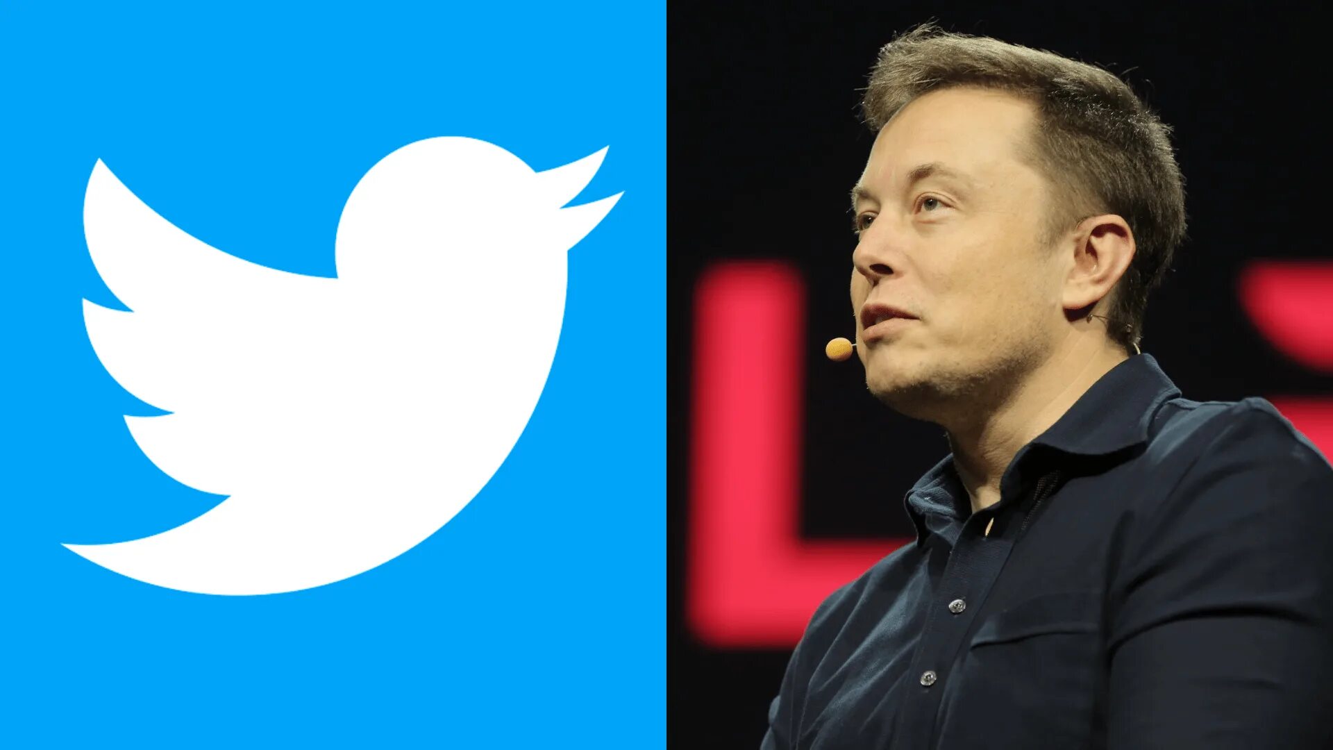 Илон Маск 2022. Twitter Маск. Elon Musk Твиттер. Том оф маск