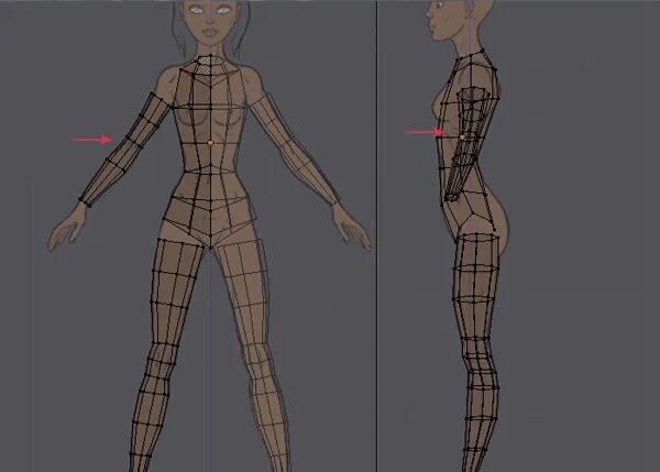 Тело в блендере. Схема персонажа для моделинга Blender. Референс для моделирования в блендер. Референсы для моделирования. Референсы для моделирования персонажей.