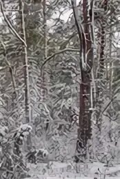 Коль нет цветов среди зим. Коль нет цветов среди зим