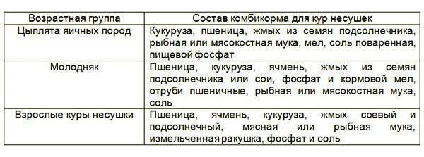 Рыба курицам несушкам
