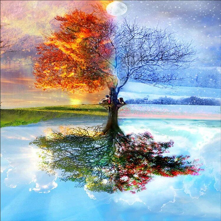 Seasons trees. Seasons trees