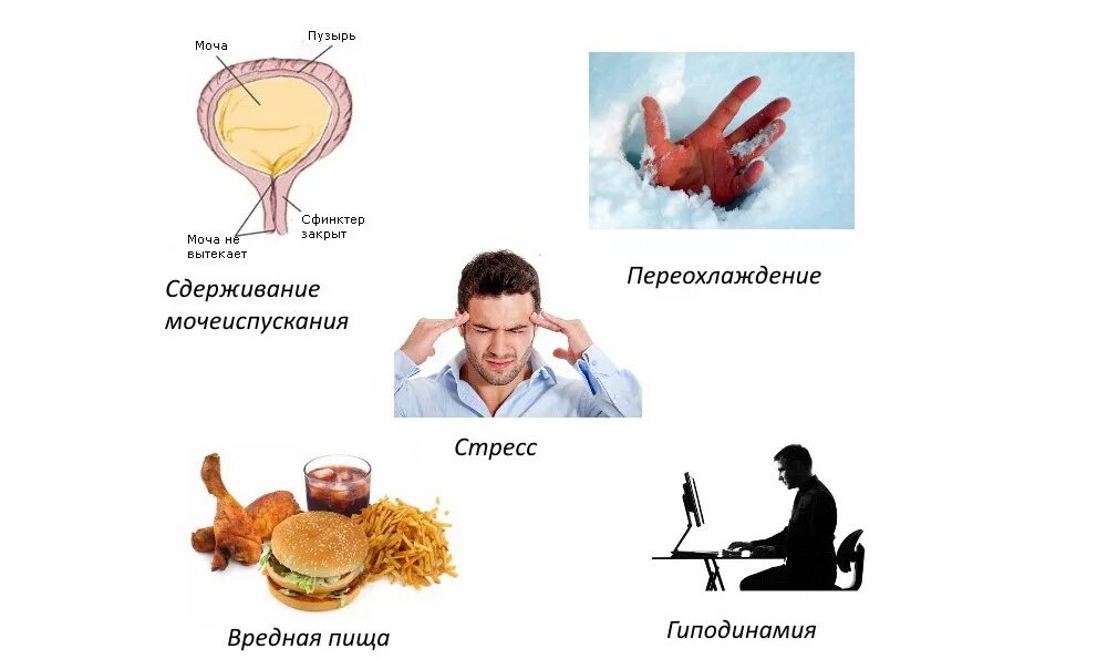 Мочеиспускание при переохлаждении