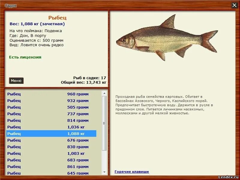 рыба капля реальная рыбалка. рыба капля реальная рыбалка. рыба капля реальная рыбалка. рыба-капля (psychrolutes marcidus). глубоководная рыба psychrolutes marcidus.