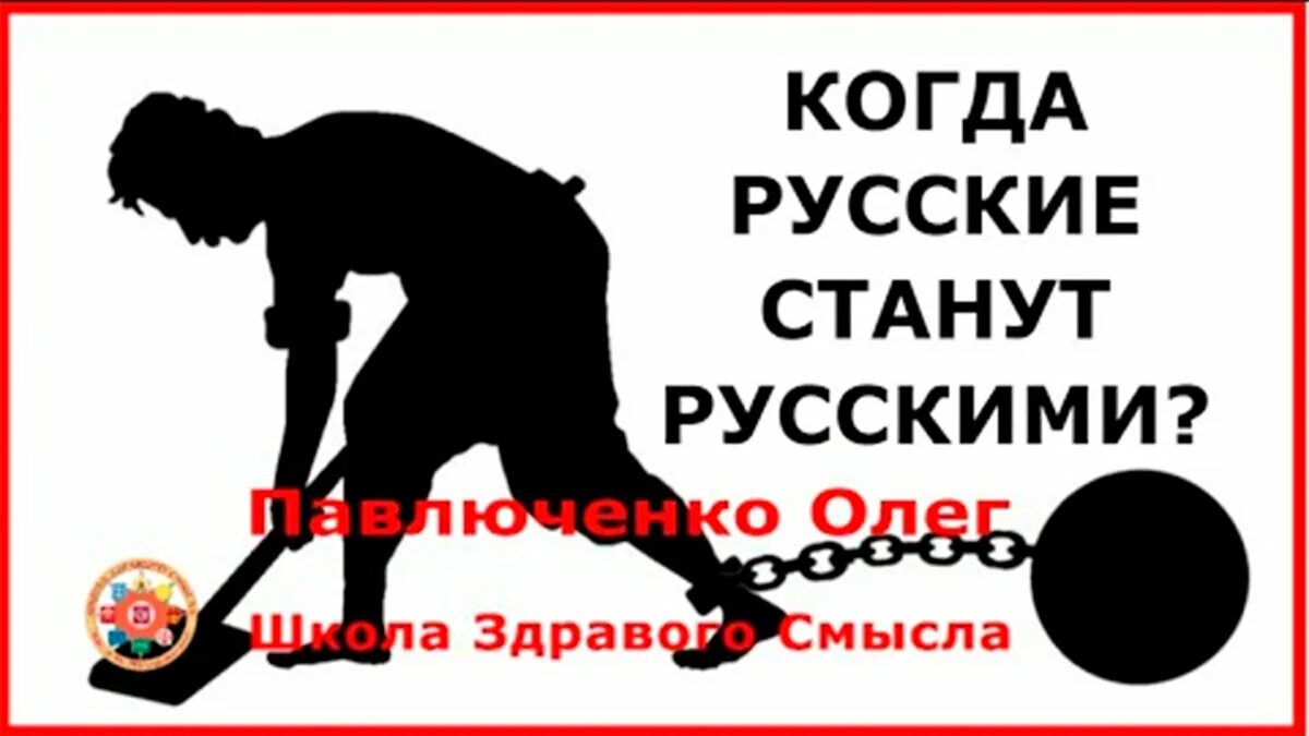 Школа здравого смысла последнее 2025. Школа здравого смысла. школа здравого смысла блоггер. люди здравого смысла лого. кола здравого смысла.