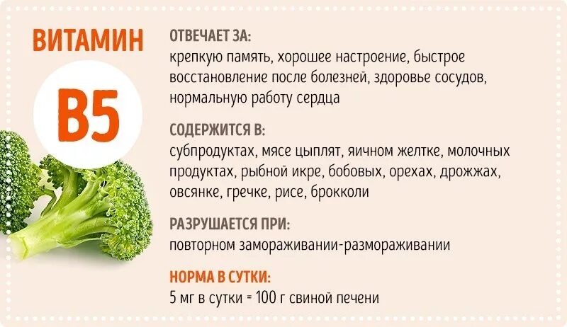 Витамин с польза и вред. За что отвечает витамин с в организме человека. Что такое витамины. Витамины группы в. За что отвечают витаминымгруппы в.