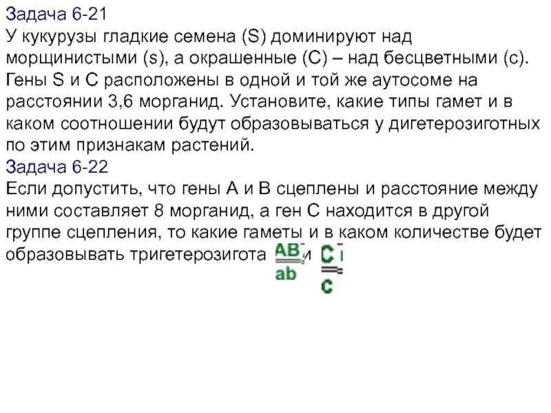 Сколько типов гамет может образоваться у матери. Задачи по генетике 9 класс. У кукурузы гладкие семена доминируют над морщинистыми. Гладкая форма семян кукурузы. Гладкая форма семян кукурузы доминирует над морщинистой.