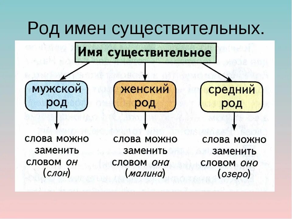 Как отличить род. Род имен существительных в русском языке определяется. Как определить род имен существительных. Правило определения рода имен существительных. Имя существительное 3 класс женского рода мужского рода среднего рода.