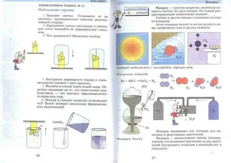 Естествознание 6 класс читать