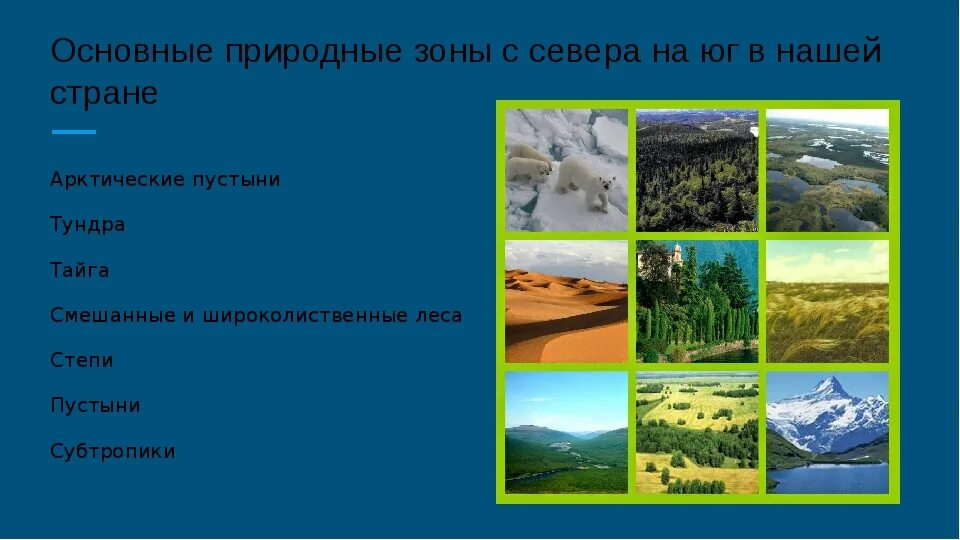 Примеры растений в разных природных зонах. Окружающий мир 4 класс тема природные зоны. Природные зоны России. Приподныу зоны Росси. Природные зоны картинки.