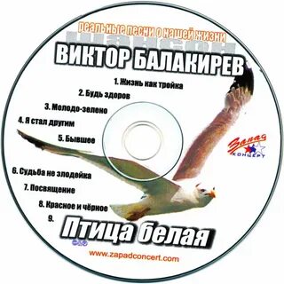 Издательство белая птица