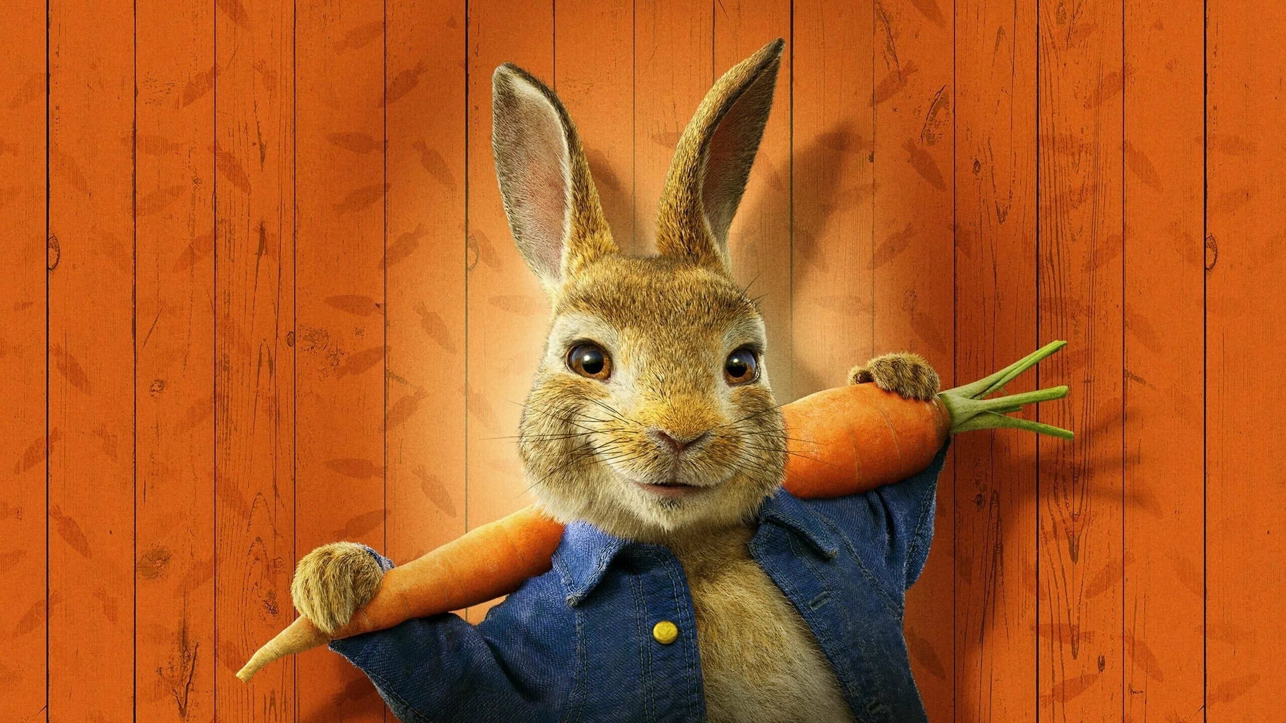 Бывший король победил кролика героя. Кролик Питер (2018) Peter Rabbit. Peter Pabbit 2 # Питер кролик2.