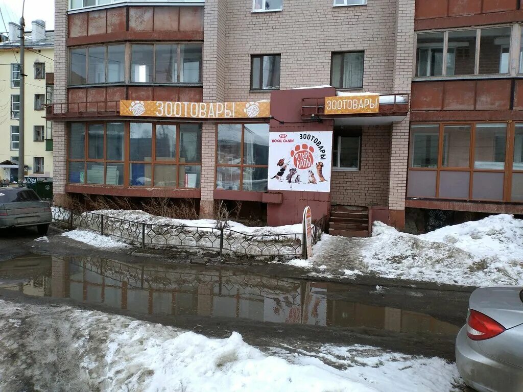магазин четыре лапы ярославль. четыре лапы архангельск. четыре лапы архангельск. четыре лапы архангельск. зоомагазин 4 лапы во владимире.