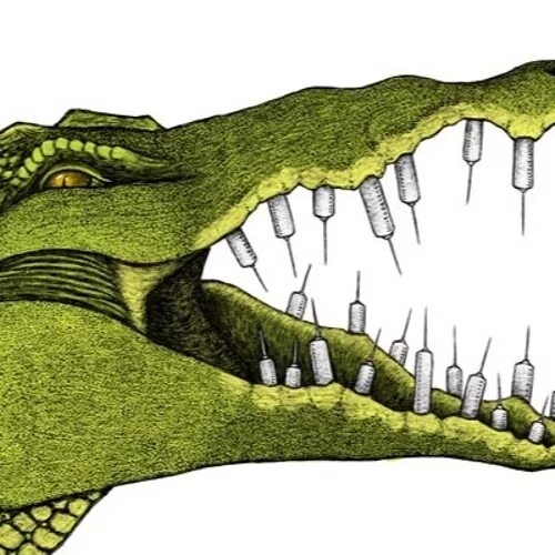 Крокодил. Изображение крокодила. Голова крокодила. Ноздри крокодила. Желтая пасть