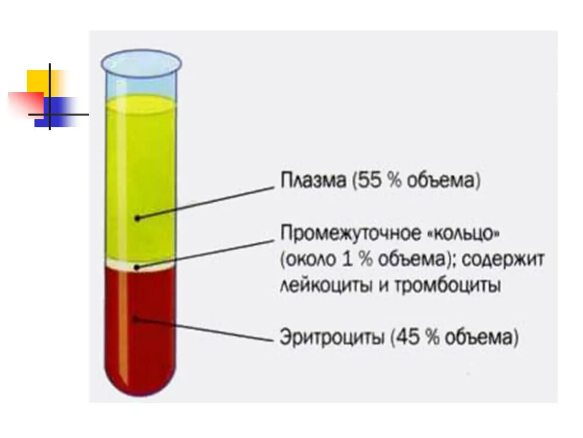 Плазма это кровь. Состав крови плазма и сыворотка крови. Плазма крови после центрифугирования. Методы получения плазмы и сыворотки крови. Сыворотка крови отличить от плазмы.