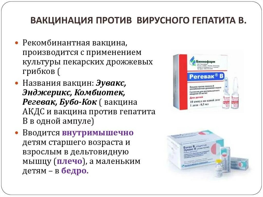 Прививка от гепатита а оренбург где сделать. Название вакцины против вирусного гепатита b. Прививки против гепатита в Наименование препарата. Вакцина против гепатита б название. Метод введения вакцины против гепатита в.