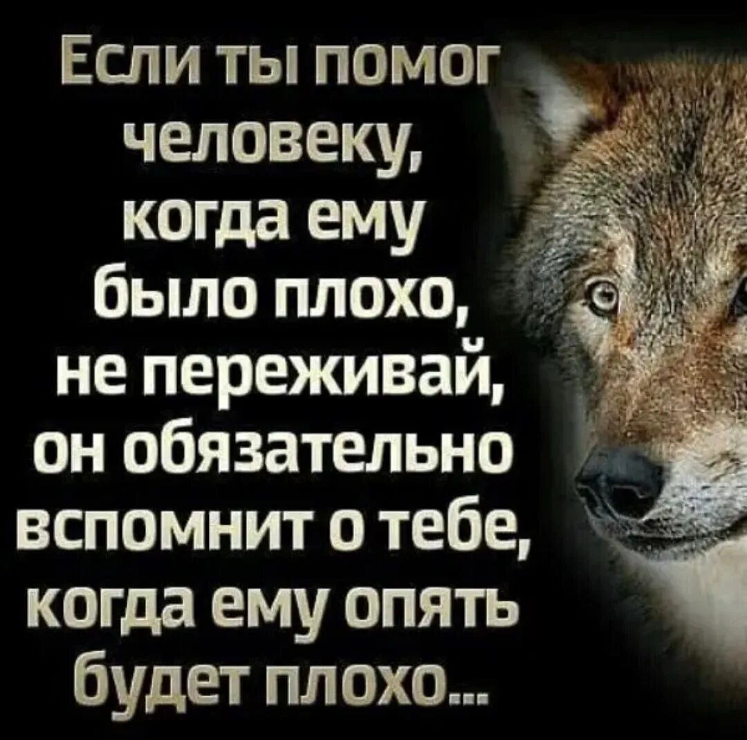 Про тебя вспоминают когда ты нужен. Когда ты нужен о тебе вспоминают цитаты. Цитаты о людях плохих хороших. Когда тебе плохо цитаты.