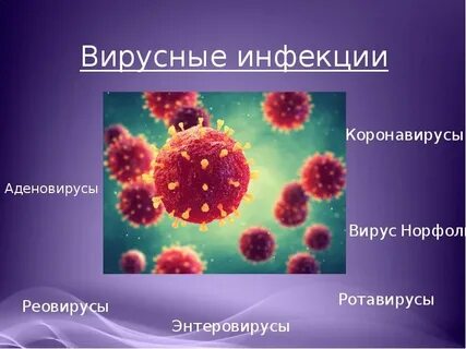 Кишечно вирусные