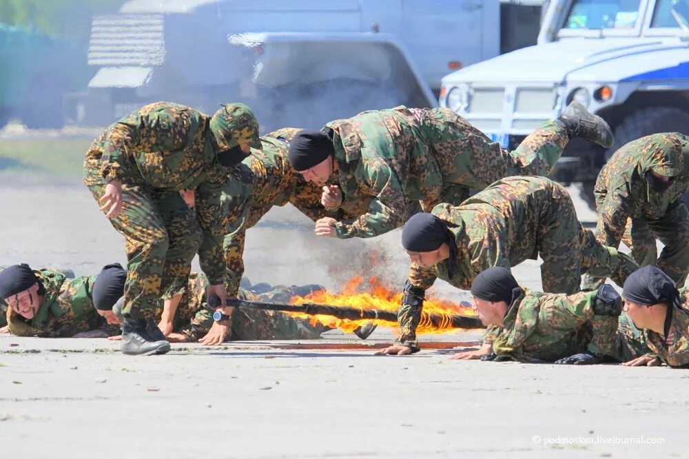 Спецназ пересвет 33 отряд. 33 отряд специального назначения пересвет на украине. Оспн пересвет в/ч 6796. Спецназ пересвет 33 отряд. Вч 6796 пересвет.