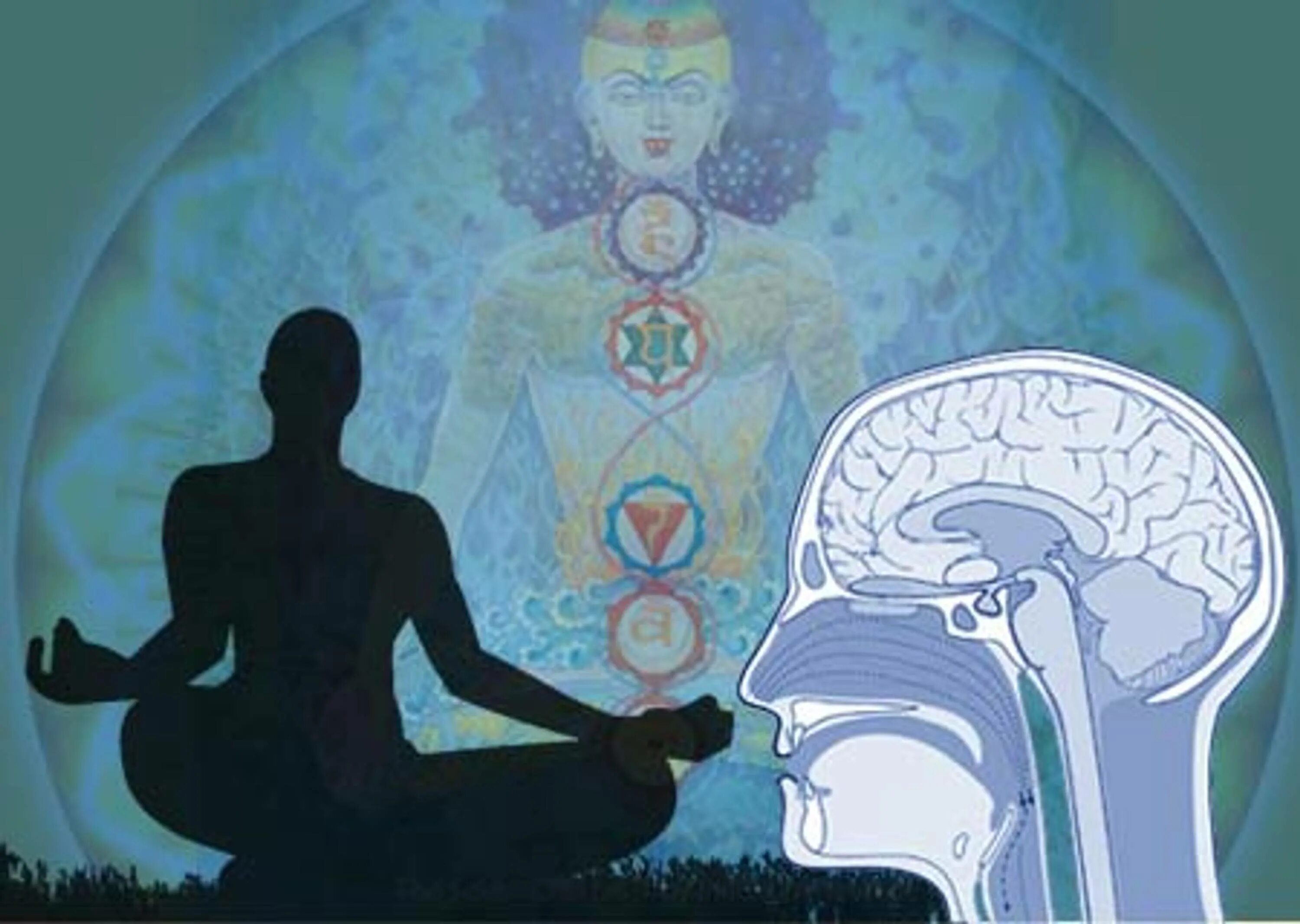 Медитация для мозга. Мозг медитирует. Медитация мозг. Состояние мозга в медитации. Влияние медитации на мозг.