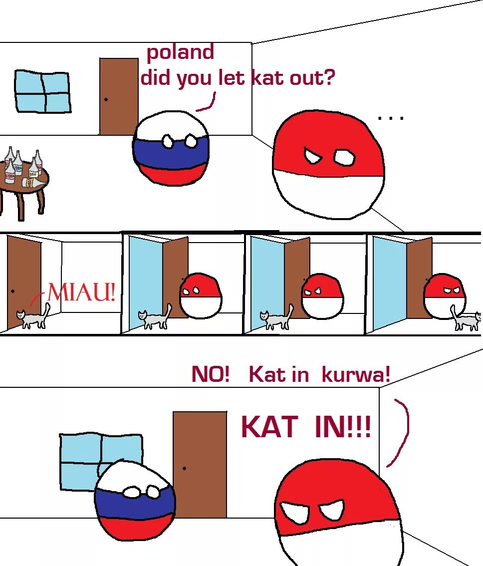 Поландболл kurwa. Polska kurwa Мем. Мемы про Польшу. Countryballs Poland kurwa.