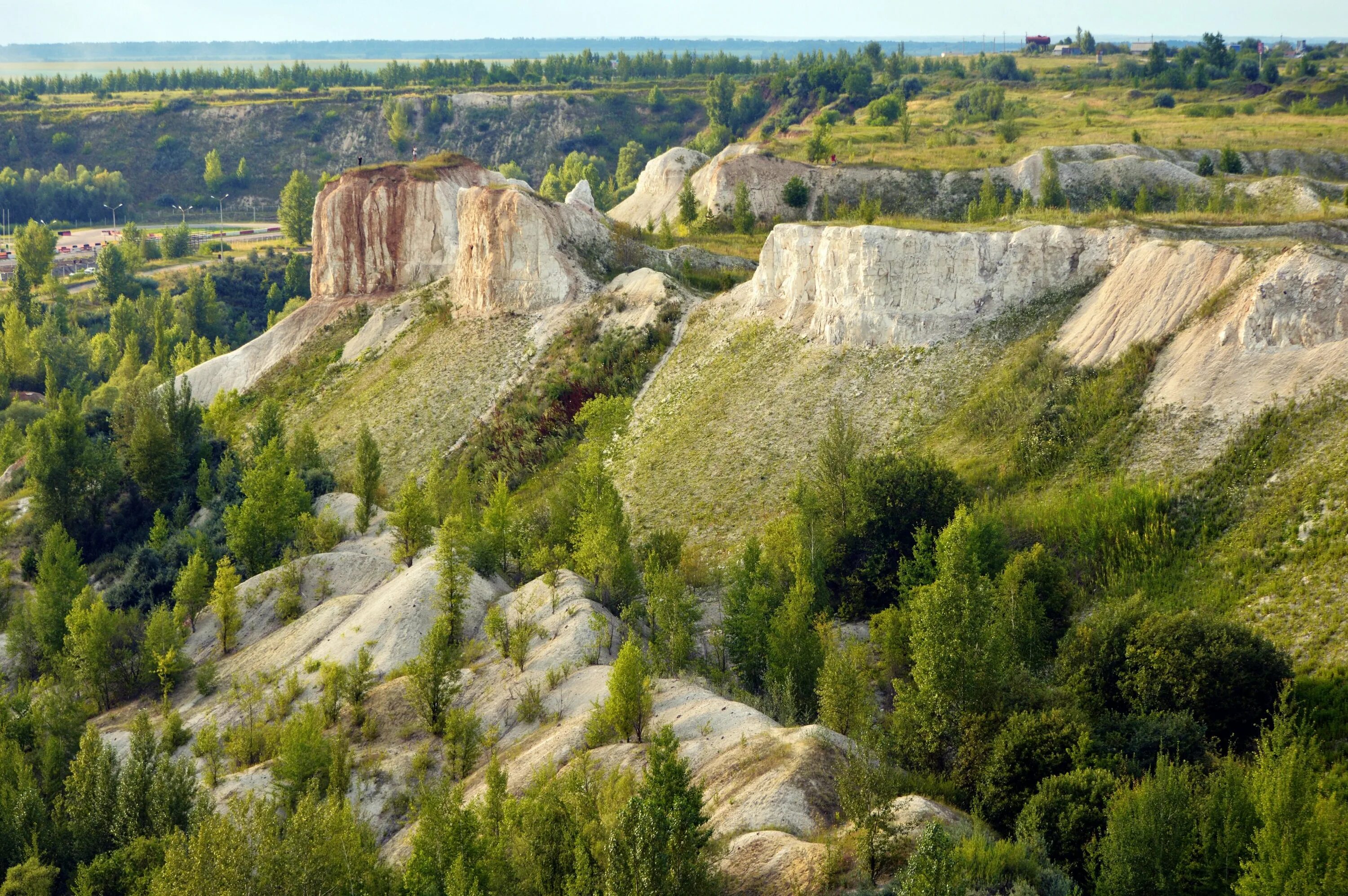 Воронежский район природа. Природа Воронежа и Воронежской области. Природа Воронежского края. Ландшафт Воронежской области.