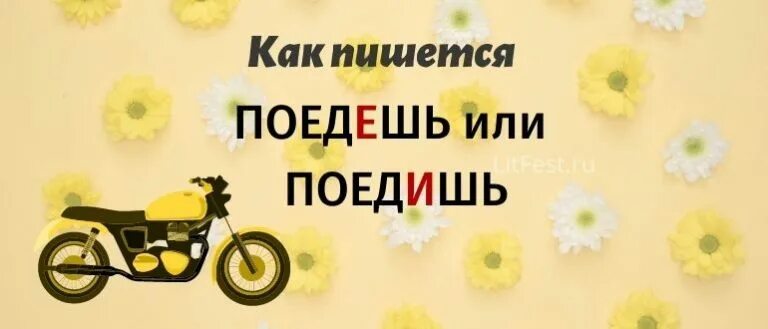 Правильно написано съездим. Как правильно писать слово едет. поедишь или поедешь. как правильно поедешь или поедишь пишется слово. поедим или поедем как правильно.