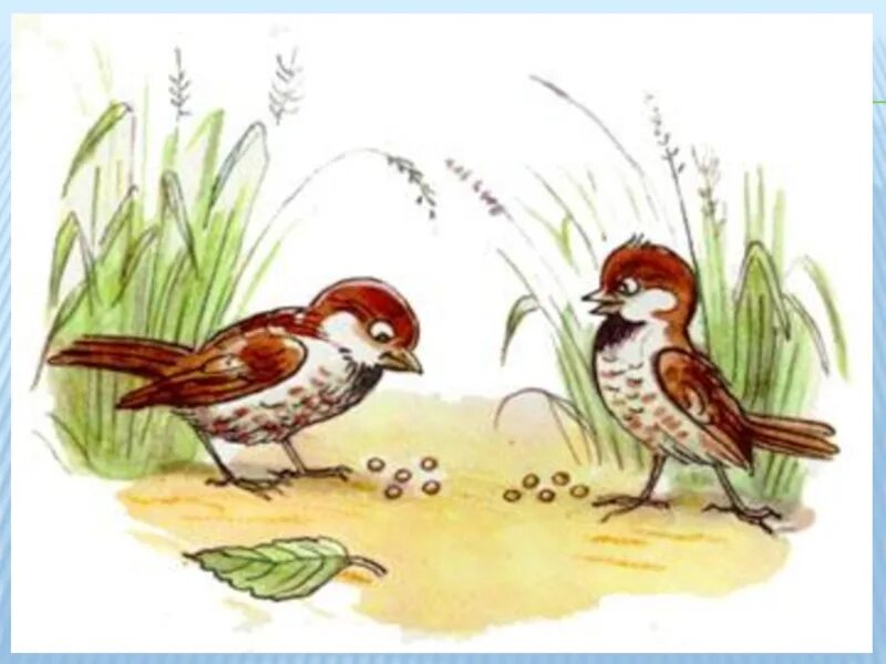 Птички клюют зернышки. Воробей рисунок. Изображение воробья для детей. Воробей клюет зернышки.