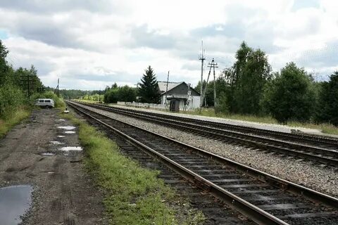 Погода чална пряжинский