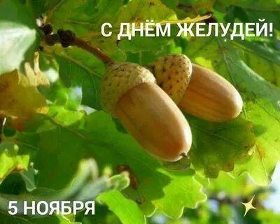 Золотой клубочек спрятался в дубочек загадка ответ