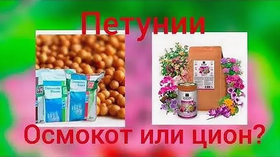 Какой осмокот лучше для петуньи